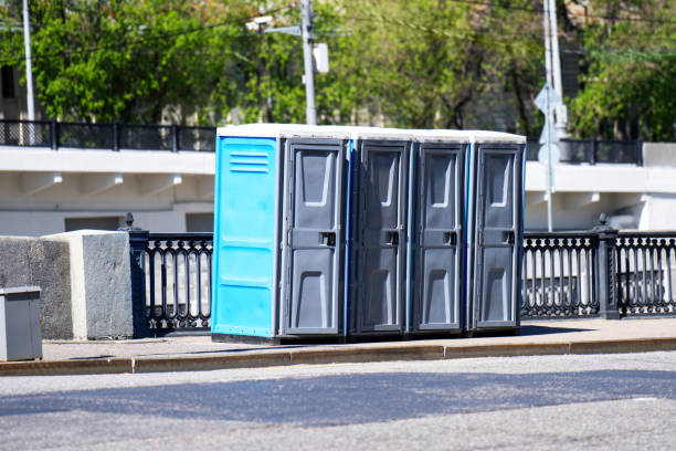 Best High-end porta potty rental  in Scanlon, MN